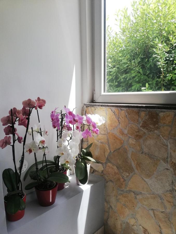 Apartment Danci