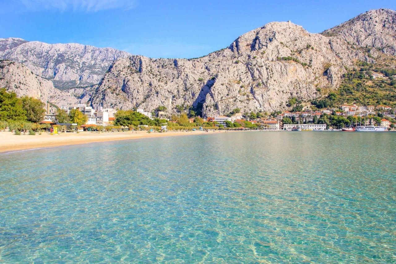 Danci * Omis